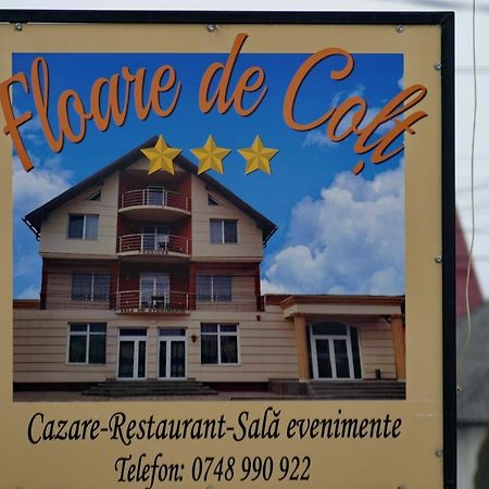 Hotel Floare De Colt Berbesti Exteriér fotografie