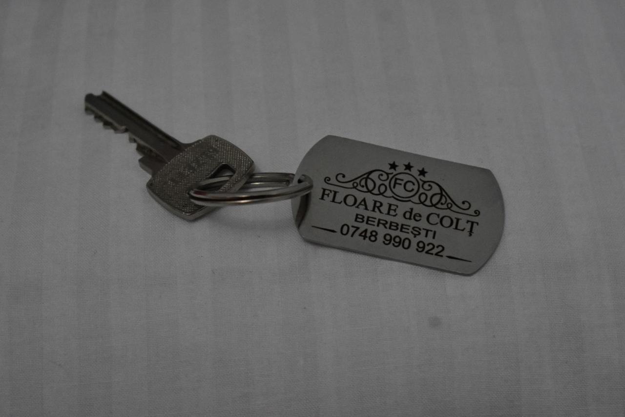 Hotel Floare De Colt Berbesti Exteriér fotografie